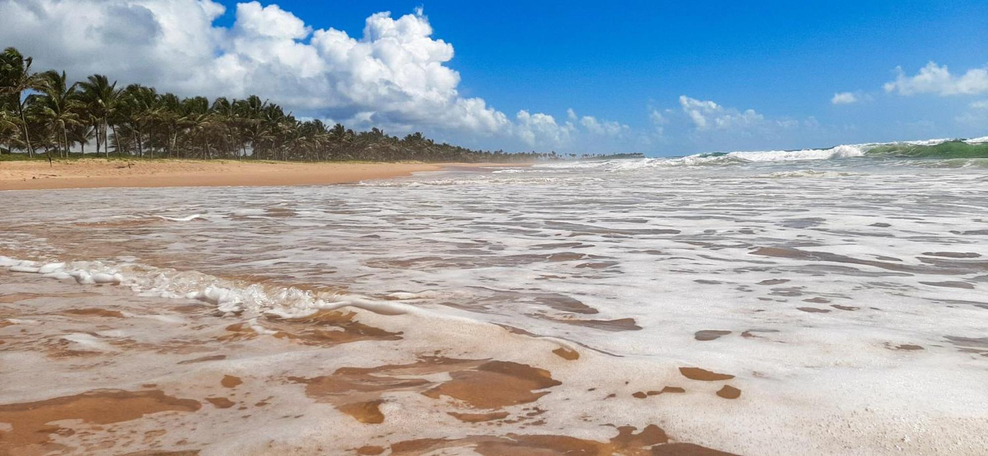 Chale Brisa Mar Pe Na Areia Em Barra Do Jacuipe Camacari Exterior foto