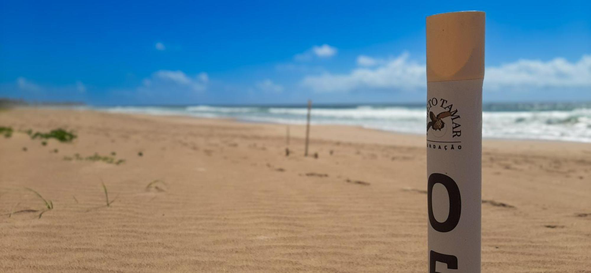 Chale Brisa Mar Pe Na Areia Em Barra Do Jacuipe Camacari Exterior foto